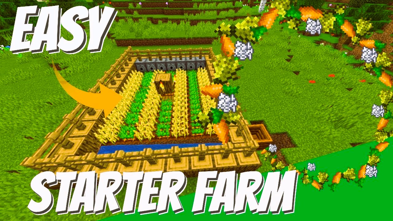 Building a Functional Farm in Minecraft