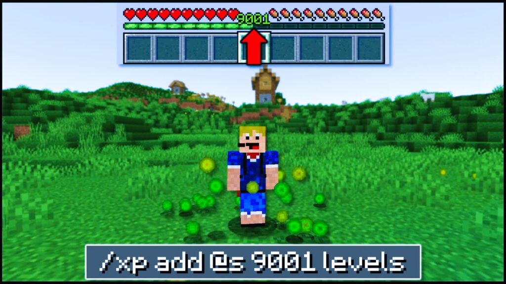 Understanding the XP Command