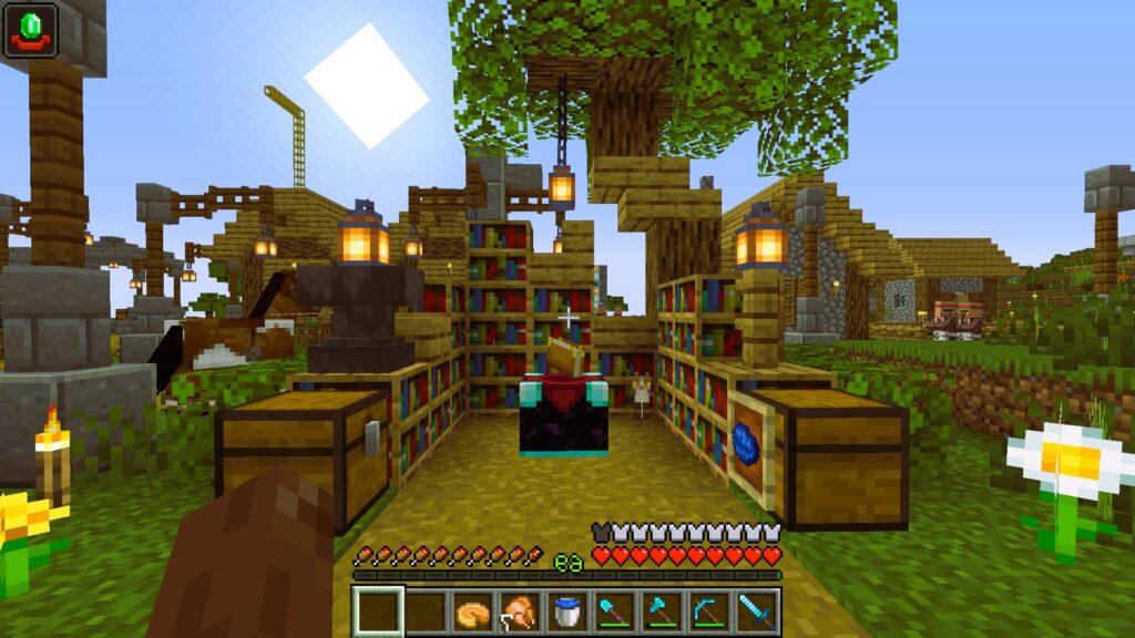 Using XP 